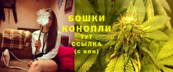 дмт Касимов