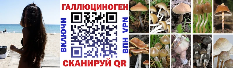 хочу наркоту  Дно  Псилоцибиновые грибы мухоморы 