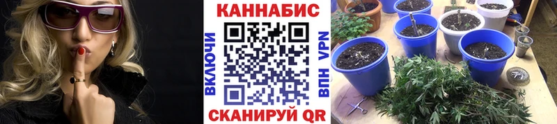 как найти закладки Дно Каннабис Amnesia